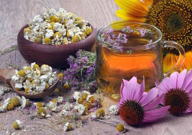 The Medicinal Garden Kit